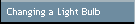 Changing a Light Bulb