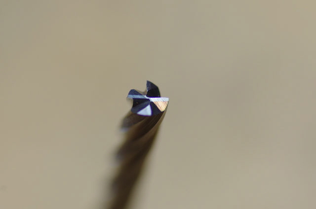 IMGP4973