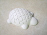 TurtleThumb